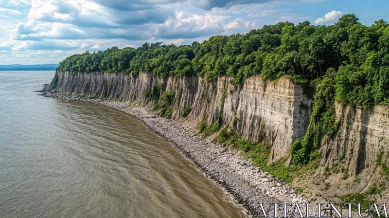 AI ART Scenic Coastal Cliff with Forest and Water