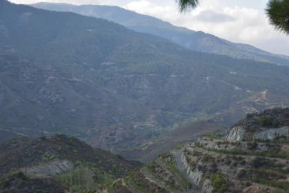 Cyprus Terraced Mountain Landscape