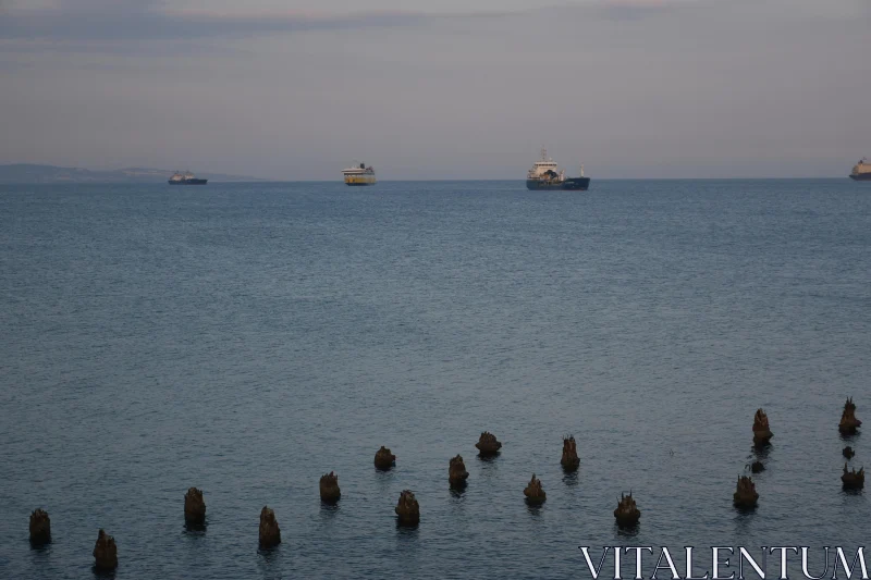 PHOTO Tranquil Ships by the Limassol Coast