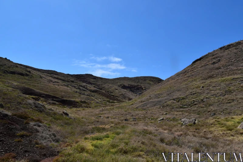 PHOTO Tranquil Grassland in a Valley