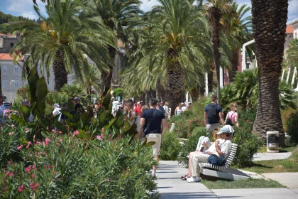 Urban Promenade with People and Palm Trees