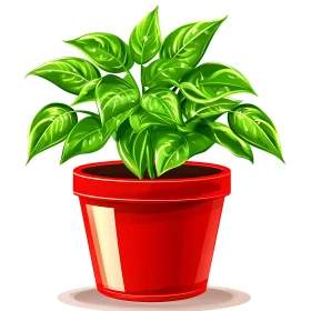 Indoor Plant with Green Leaves