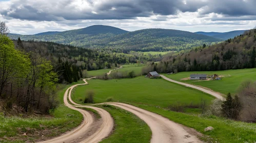 Green Valley Landscape with Dirt Road