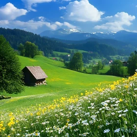 Cabin in a Mountain Meadow