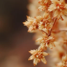 Enchanting Golden Flowers in Autumn