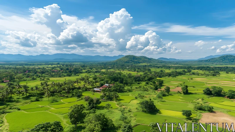 Green Fields Under the Blue Sky AI Image