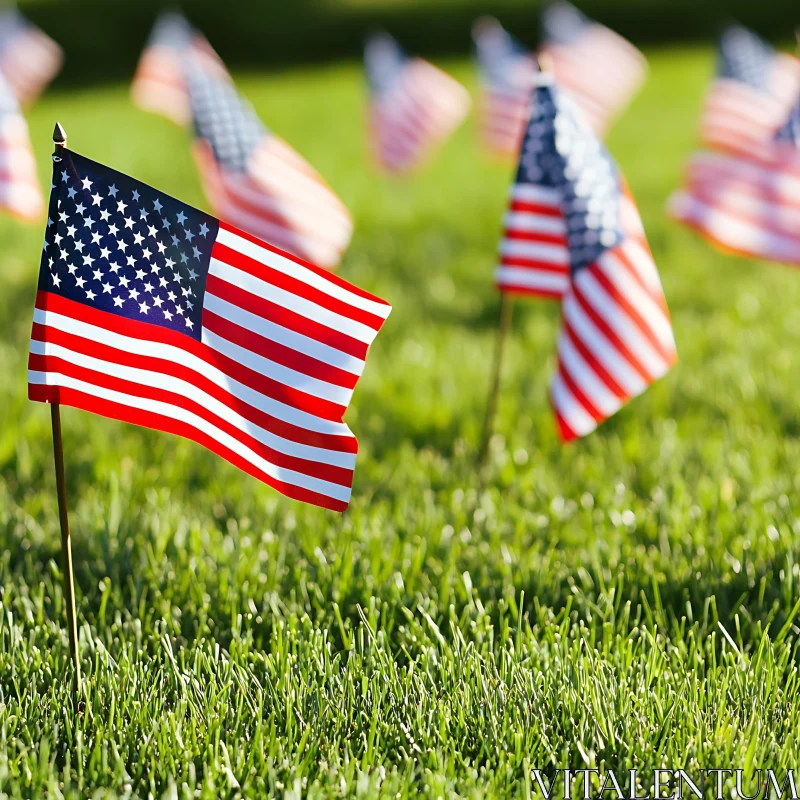 Patriotic Display of American Flags on Lawn AI Image