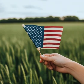 Flag in the Field