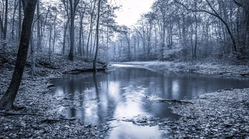 Serene Monochrome River with Forest Reflection