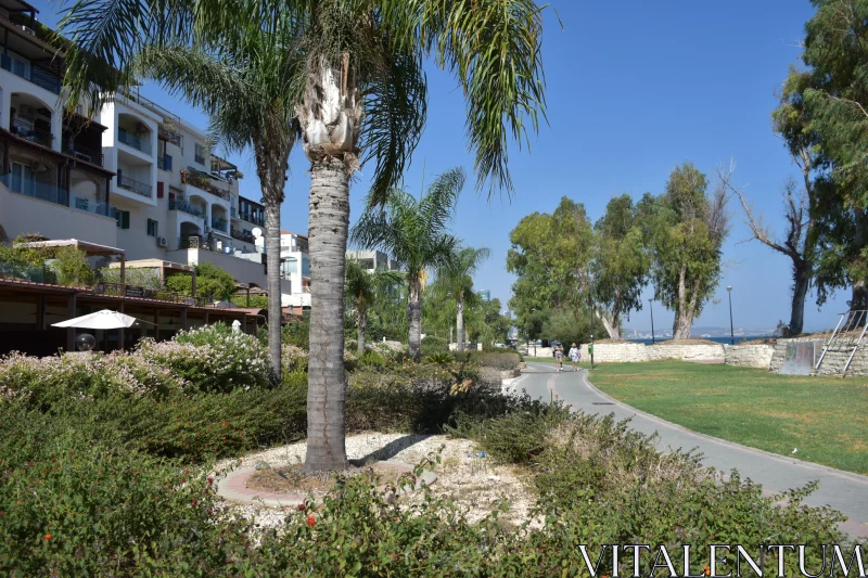 PHOTO Pathway Scene in Cyprus