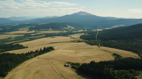 Golden Fields and Distant Mountain View
