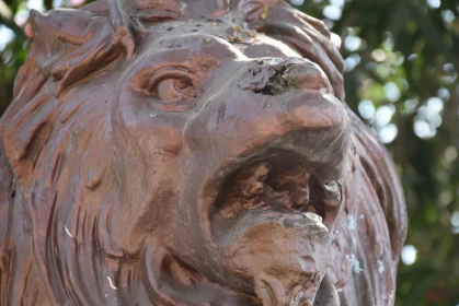 Detailed View of Bronze Lion Sculpture