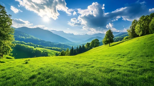 Sunlit Meadow and Distant Peaks