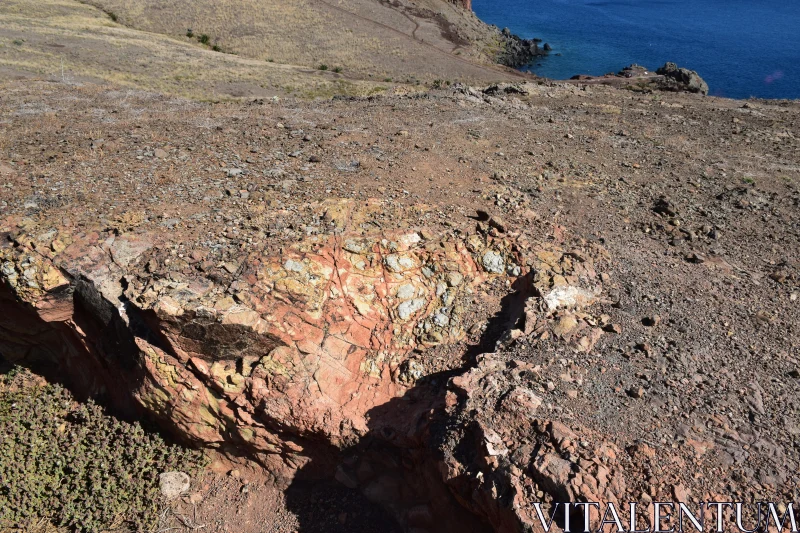 PHOTO Rugged Coastal Scene with Cliff and Ocean