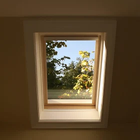 Framed Nature: Window with Tree View