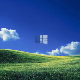 Floating Windows Above Green Meadow