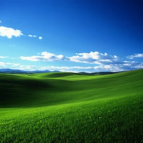 Lush Green Field with Blue Sky