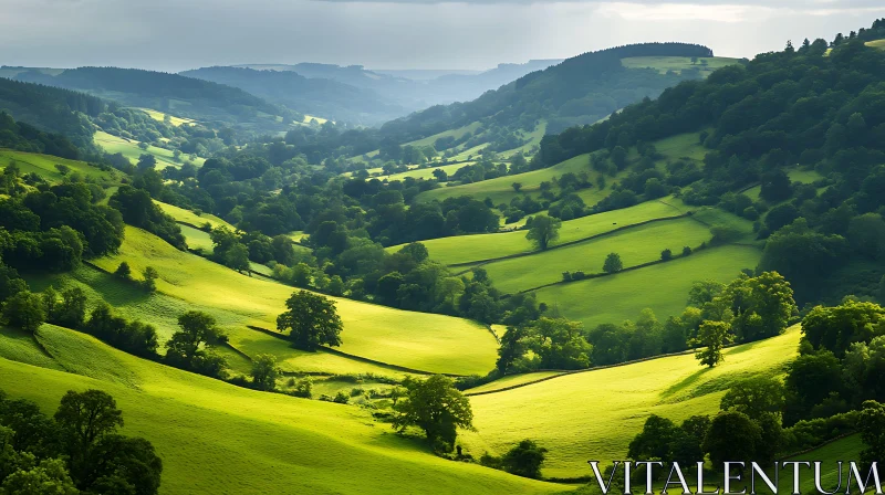 Rolling Hills Landscape View AI Image