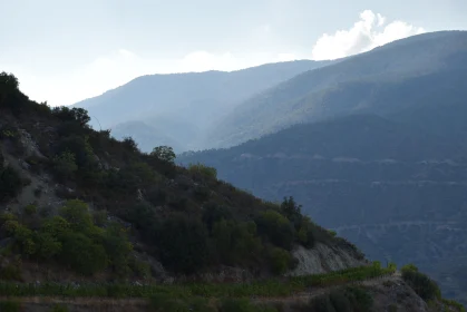 Serene Hillside and Mountain View