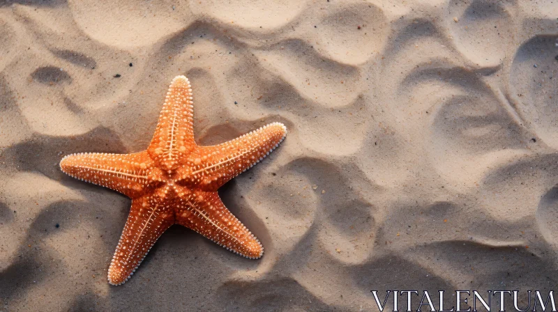 Starfish in Beach Sand - A Study in Environmental Awareness AI Image