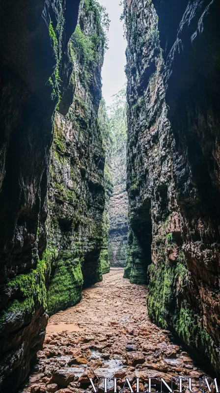 AI ART Moss-Covered Gorge with Rocky Pathway