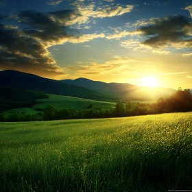 Golden Sunset Field View