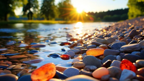 Sun-kissed Stones on Tranquil River Shore