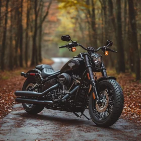 Black Motorcycle in Autumnal Woods