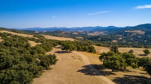 Rolling Hills and Open Field View