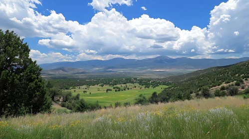 Scenic Mountain and Field Vista