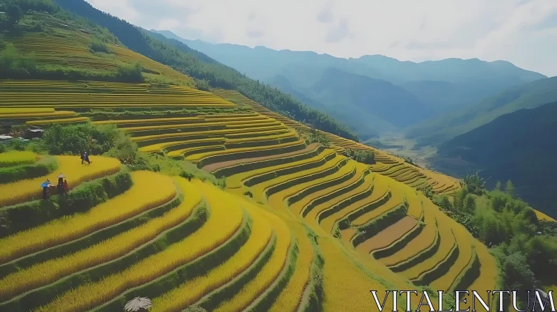 Golden Rice Fields Landscape AI Image