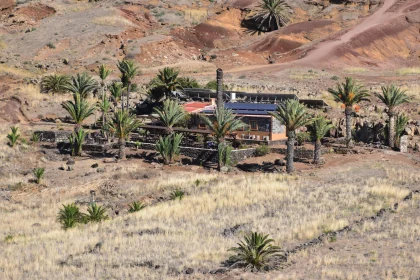 House Oasis in Arid Terrain