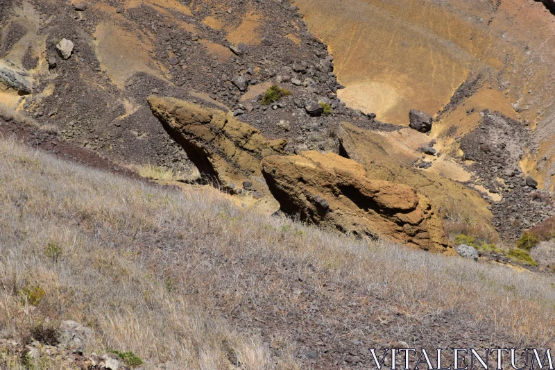 Earth Tones in Nature's Rugged Beauty Free Stock Photo