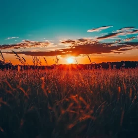 Sunset Over Golden Field