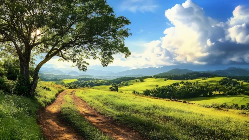 Green Field and Mountain View