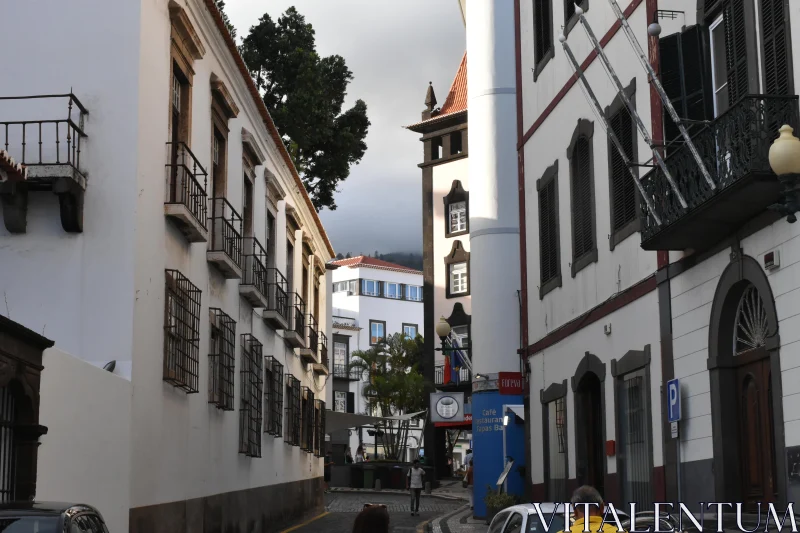 PHOTO Charming Madeira Street