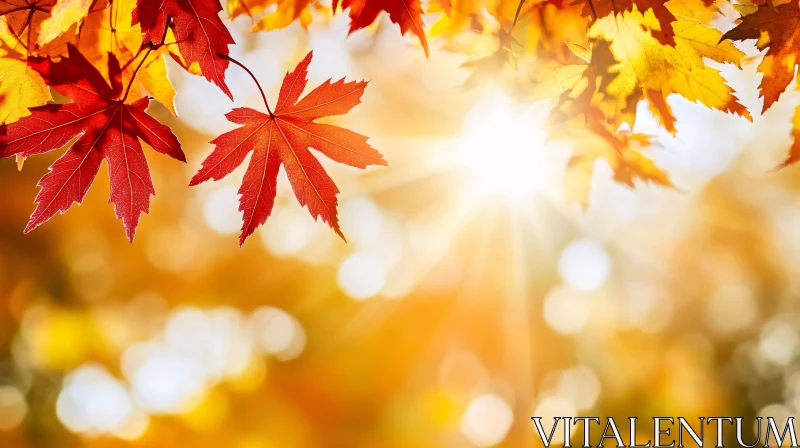 Radiant Fall Leaves Bathed in Sunlight AI Image