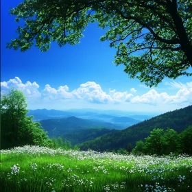 Scenic Meadow View with White Flowers