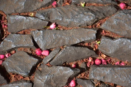 Textured Stones with Pink Petals