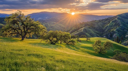 Golden Sunset Meadow Hills Scenery