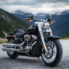 Motorcycle with Chrome Details