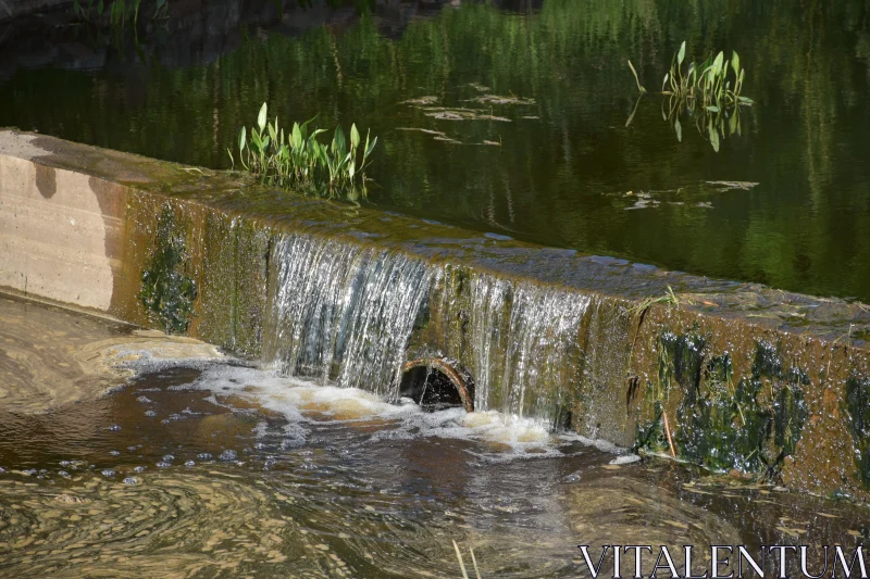 Serene Water Flow with Greenery Free Stock Photo