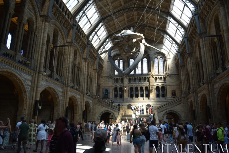 Iconic Museum Architecture and Display Free Stock Photo