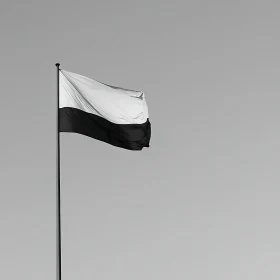 Abstract Monochrome Flag Waving in Minimalistic Setting