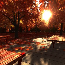 Park in Autumn