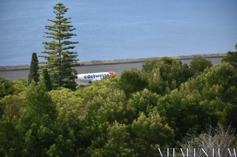 Plane Amidst Madeira's Nature Free Stock Photo