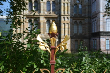 Ornate Fence in Urban Landscape