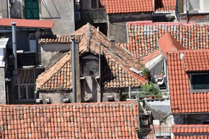 Urban Red-Tiled Rooftops