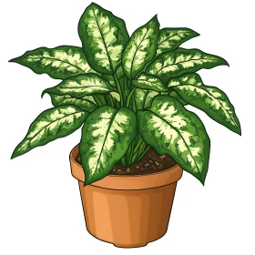 Potted Dieffenbachia Houseplant Illustration