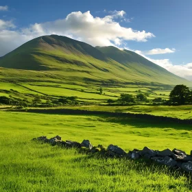 Green Mountain Landscape